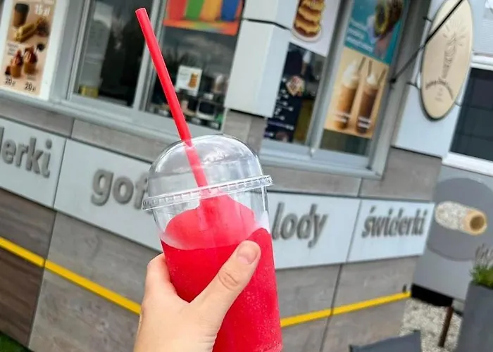 Lesna Przystan Rozewie, Jastrzebia Gora Tatil Evi Rozewie